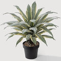 32 Inch Tall Large Faux Agave Plant with Two-Tone Sawtooth Edged Leaves; Planted in Black Pot with Real Stone Pebbles