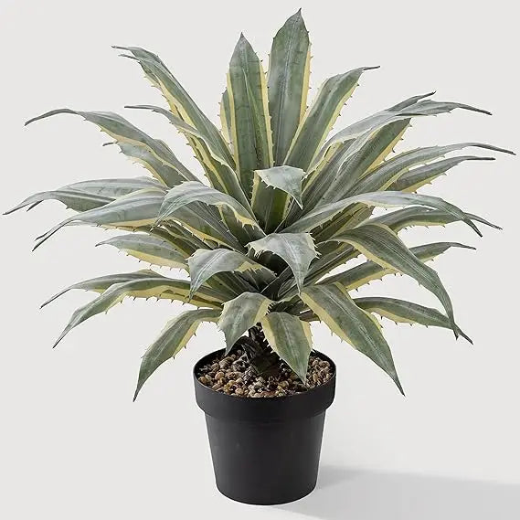 32 Inch Tall Large Faux Agave Plant with Two-Tone Sawtooth Edged Leaves; Planted in Black Pot with Real Stone Pebbles
